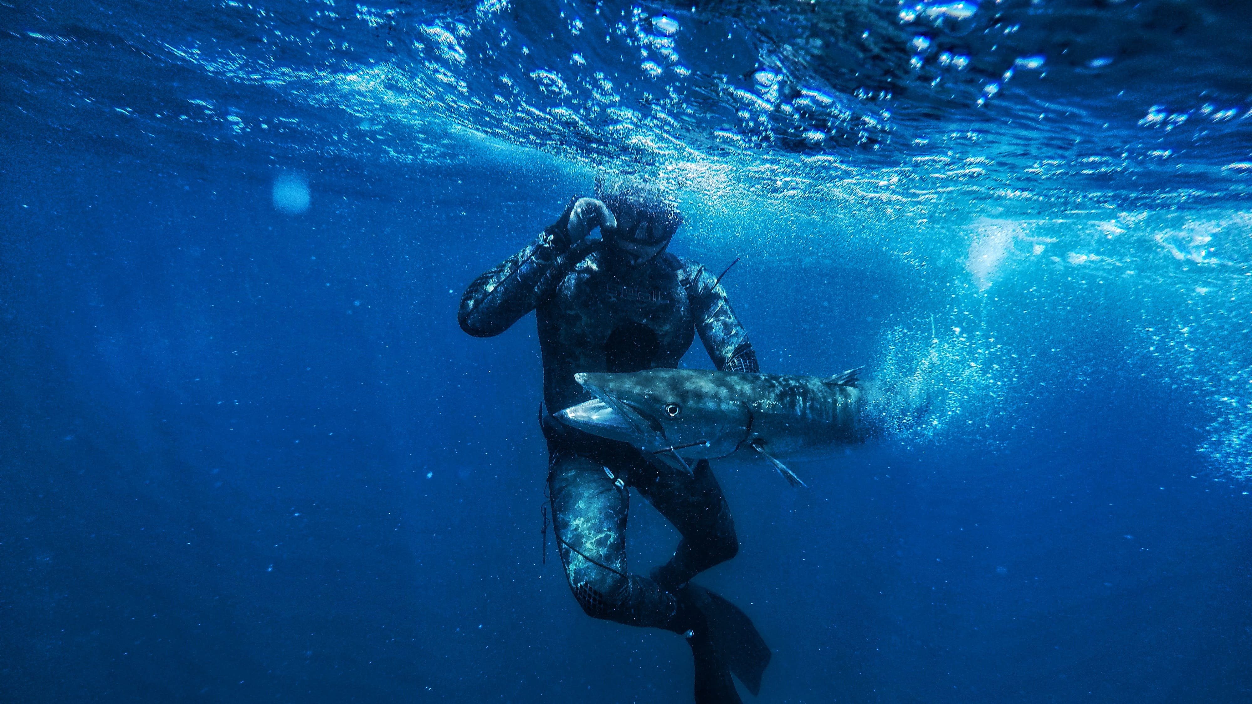 Spearfishing Tradisional 6 Orang